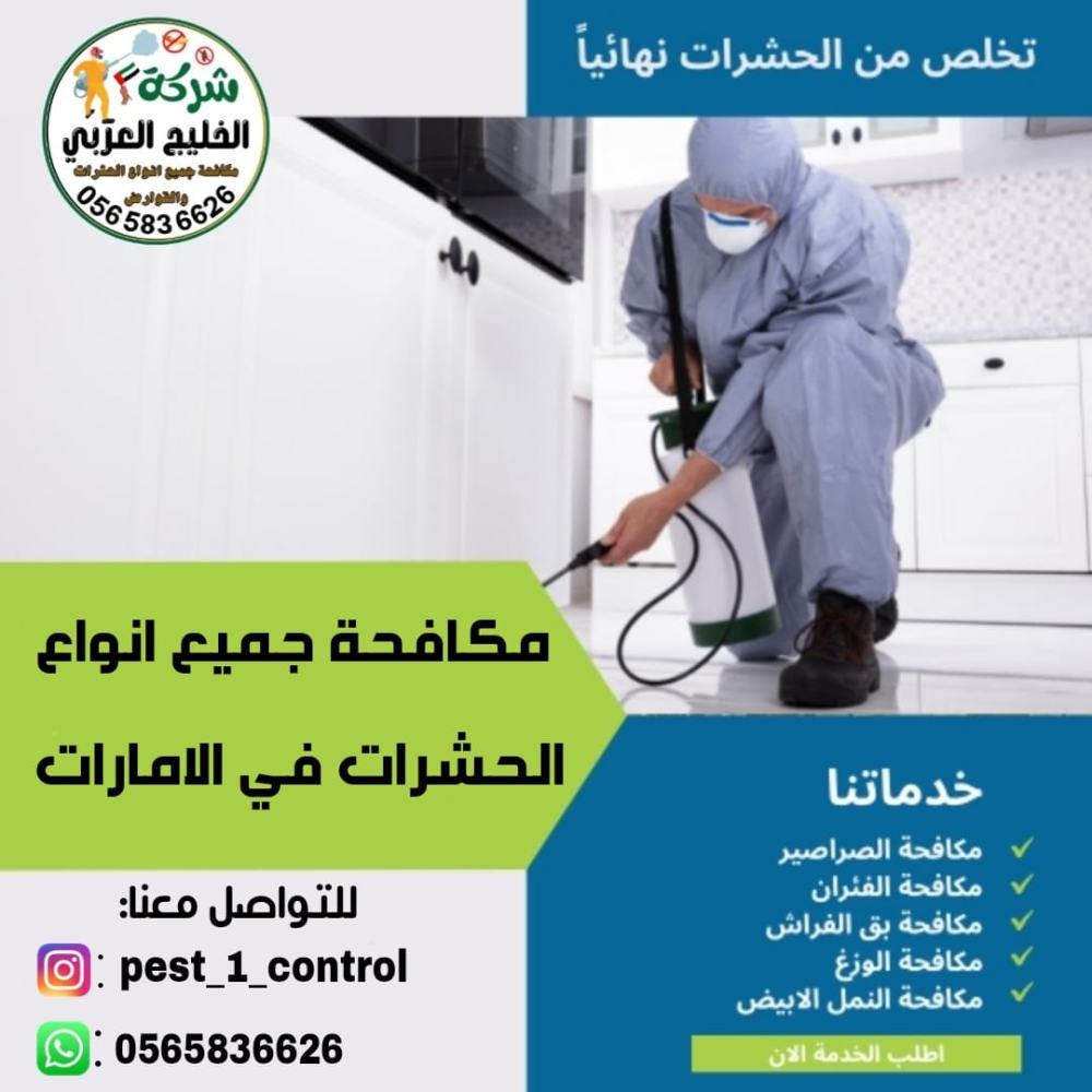 شركة مكافحة حشرات في راس الخيمة
