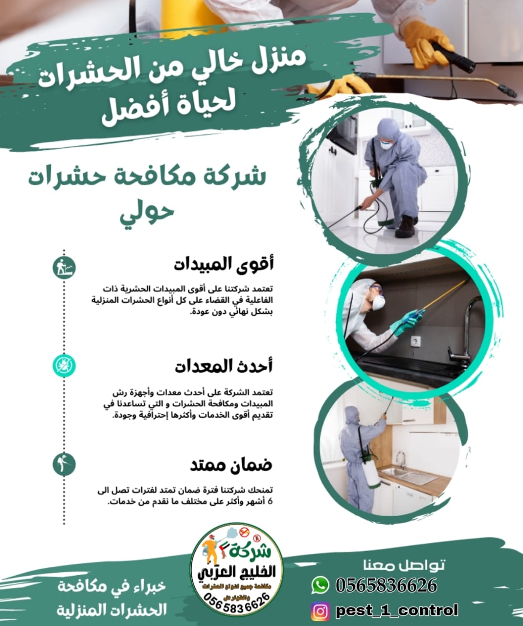 شركة مكافحة حشرات في ام القيوين