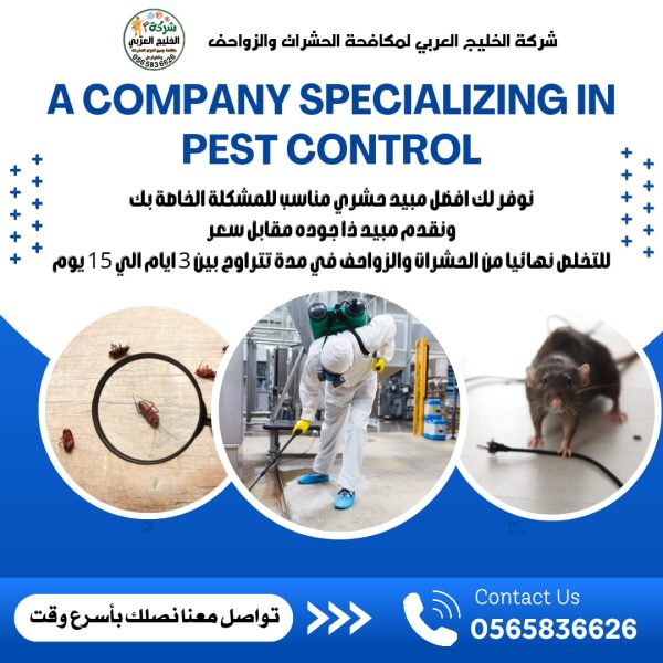 شركة مكافحة حشرات في العين
