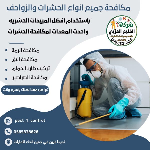 شركة مكافحة حشرات في دبي