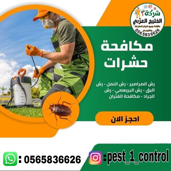 شركة مكافحة حشرات في ابوظبي