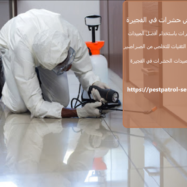 شركة رش حشرات في الفجيرة