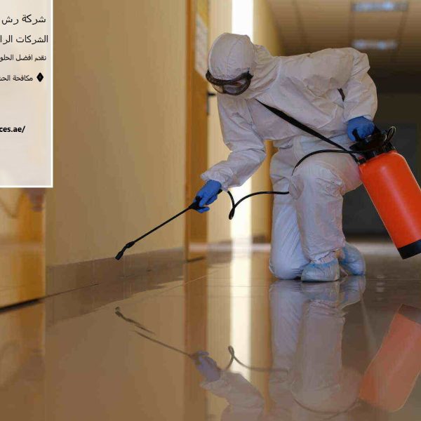 شركة رش حشرات في راس الخيمة