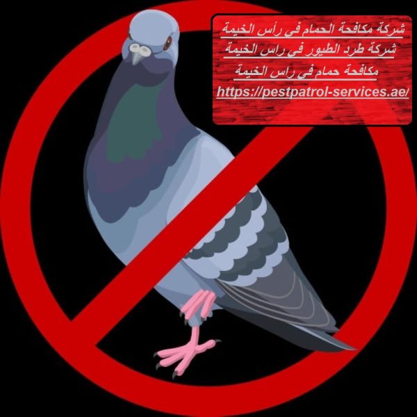 شركة مكافحة الحمام في رأس الخيمة