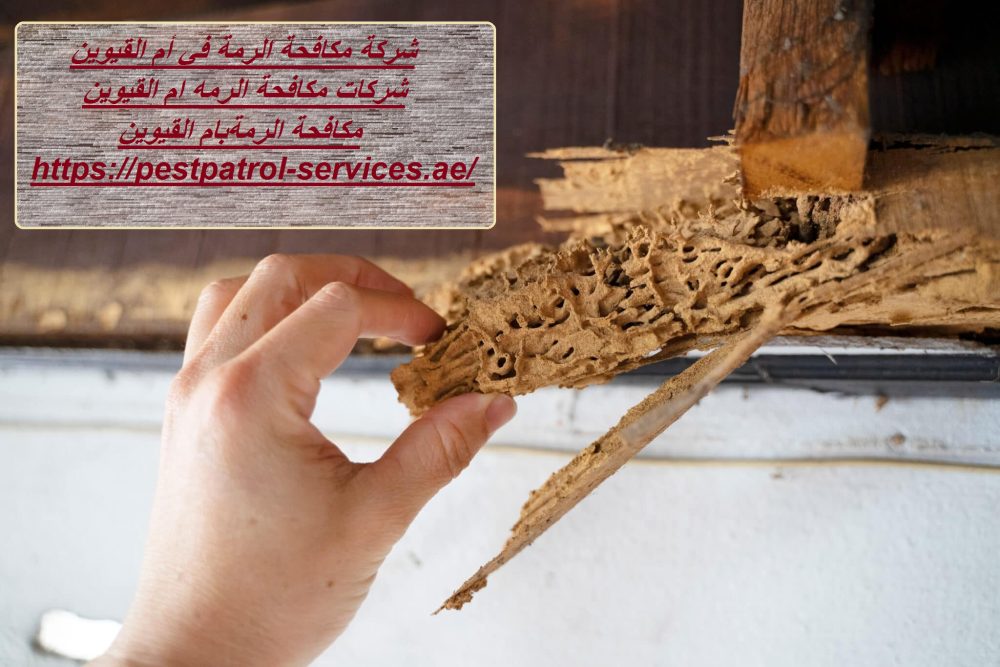 شركة مكافحة الرمة في أم القيوين