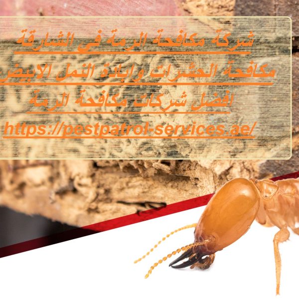 شركة مكافحة الرمة في الشارقة