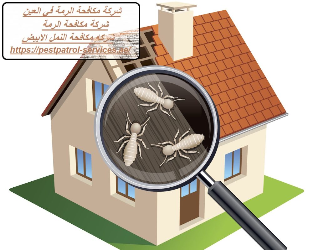 شركة مكافحة الرمة في العين.