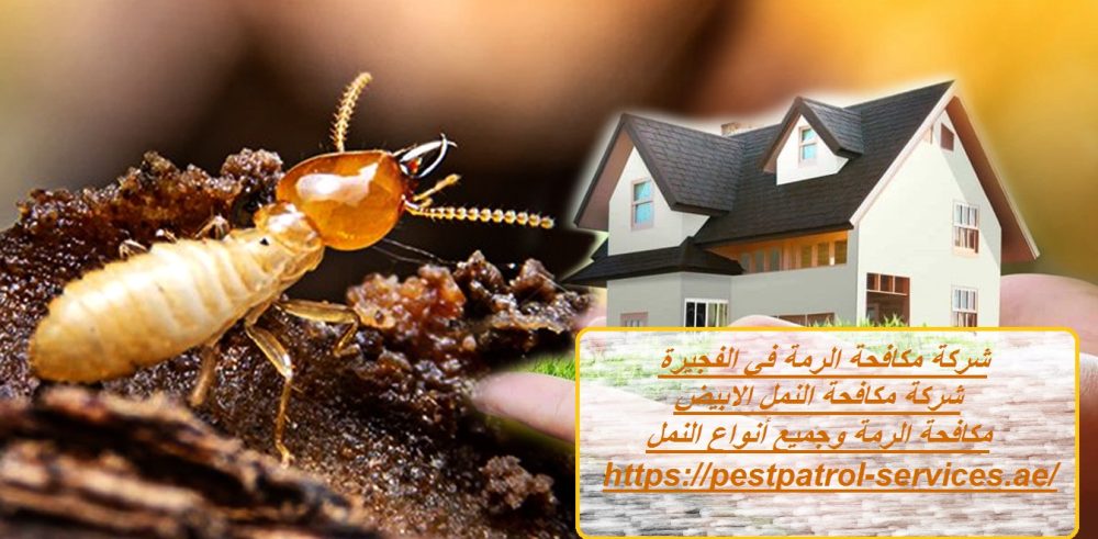 شركة مكافحة الرمة في الفجيرة