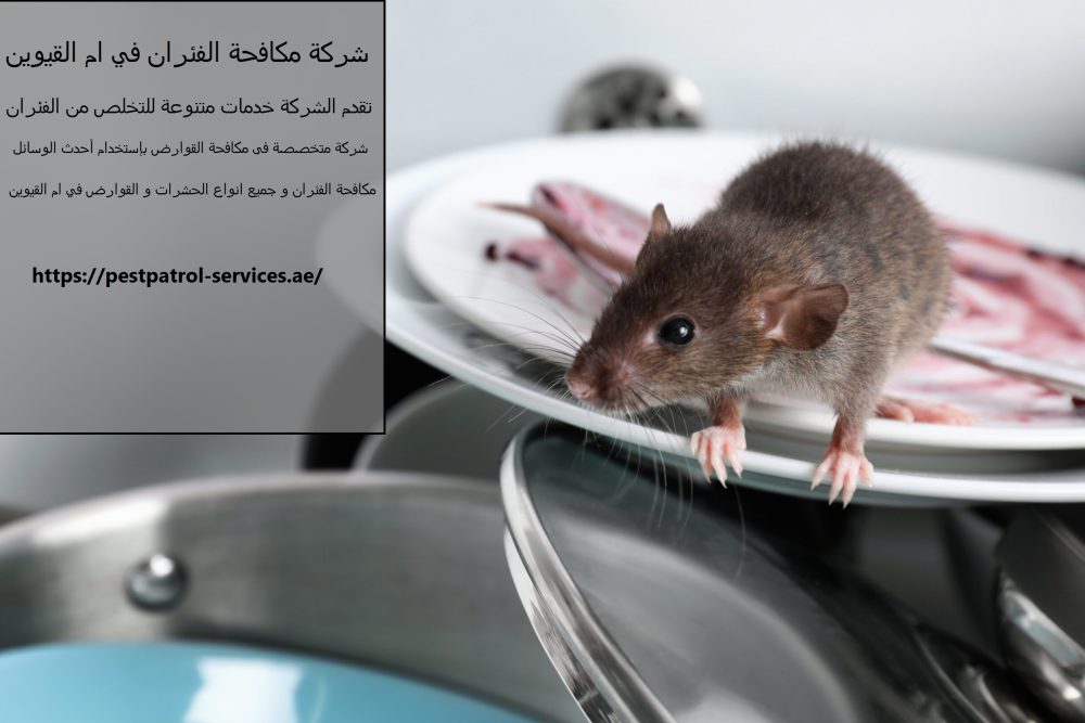 شركة مكافحة الفئران في ام القيوين