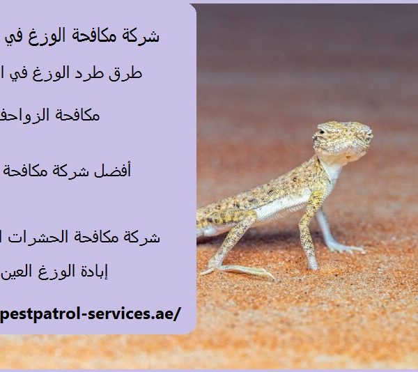 شركة مكافحة الوزغ في العين