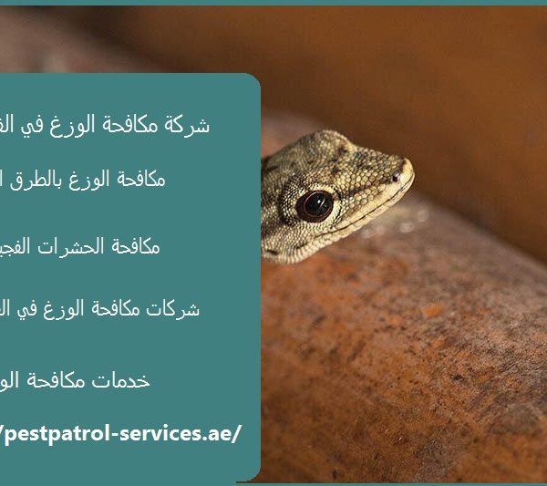 شركة مكافحة الوزغ في الفجيرة
