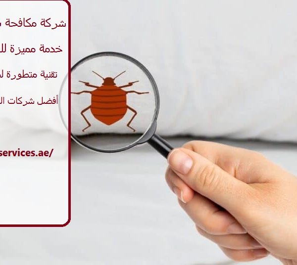 شركة مكافحة بق الفراش في ابوظبي