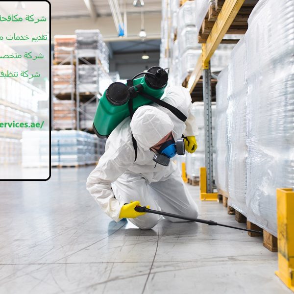 شركة مكافحة بق الفراش في الفجيرة