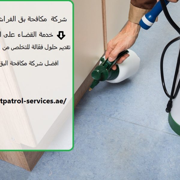 شركة مكافحة بق الفراش في ام القوين