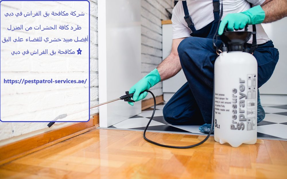 شركة مكافحة بق الفراش في دبي
