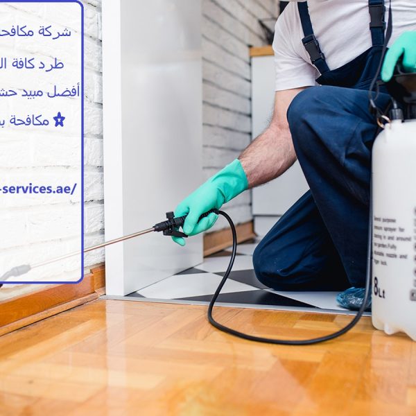 شركة مكافحة بق الفراش في دبي