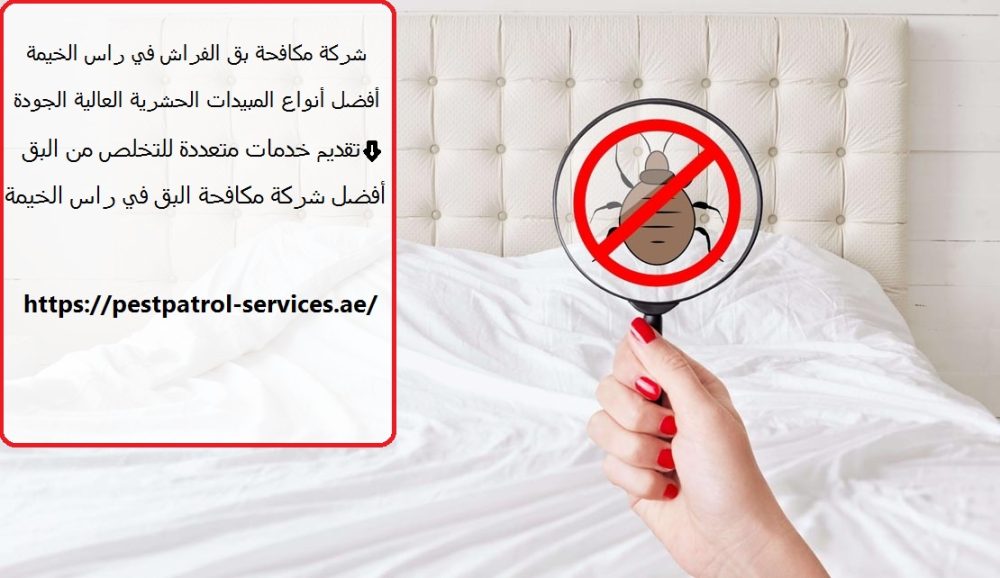 شركة مكافحة بق الفراش في راس الخيمة