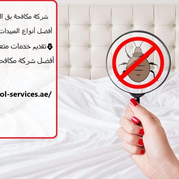 شركة مكافحة بق الفراش في راس الخيمة