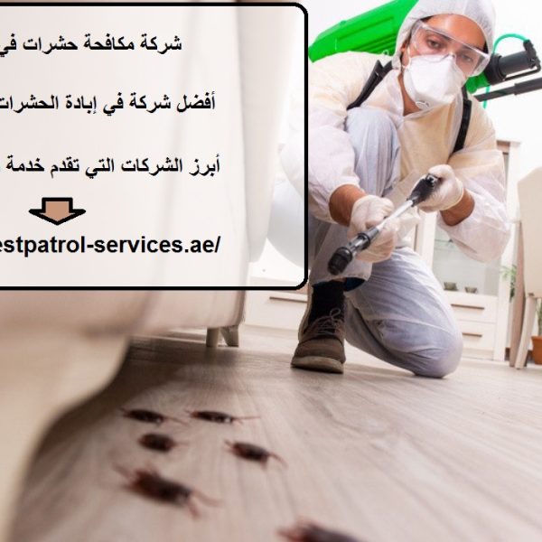 شركة مكافحة حشرات في البرشاء
