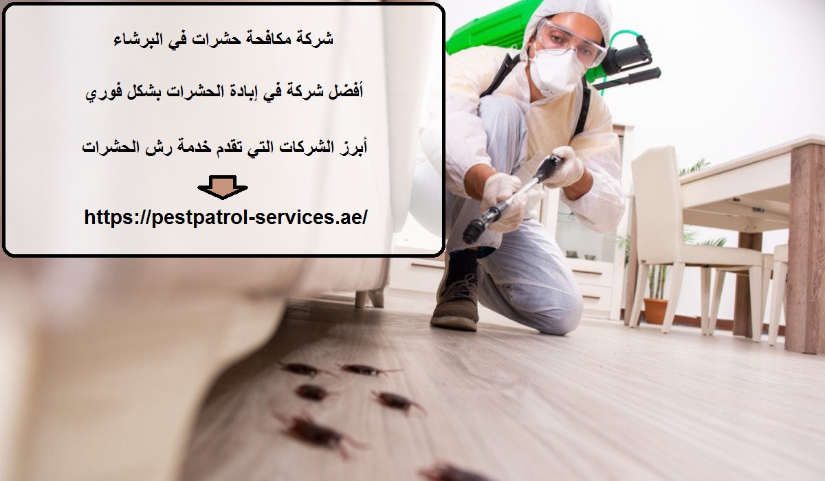 شركة مكافحة حشرات في البرشاء