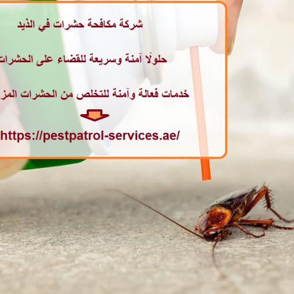 شركة مكافحة حشرات في الذيد