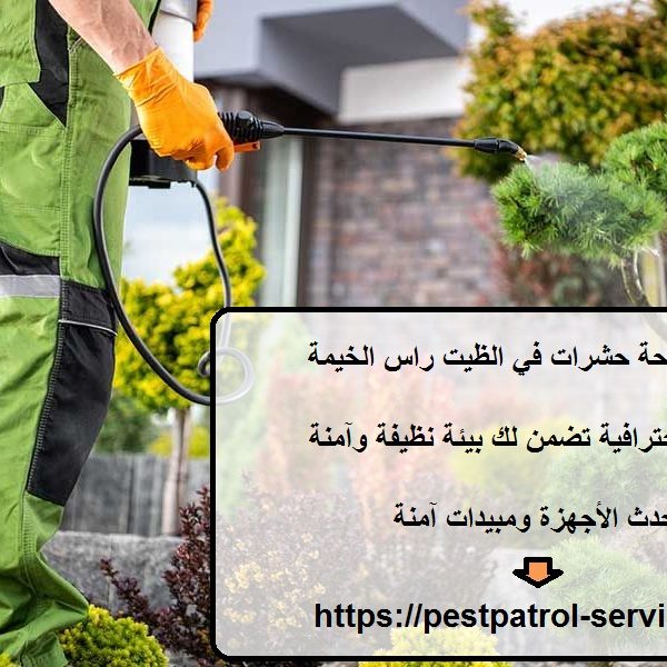 شركة مكافحة حشرات في الظيت راس الخيمة