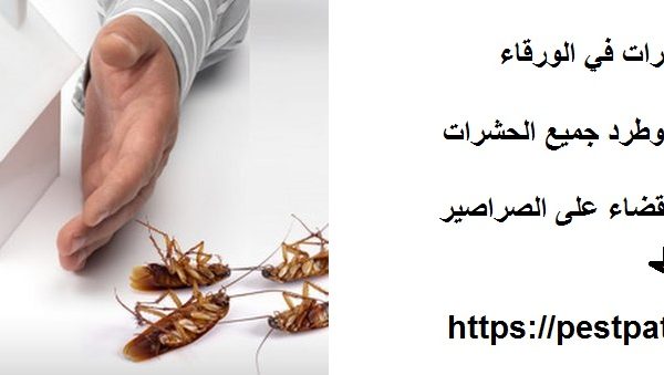 شركة مكافحة حشرات في الورقاء