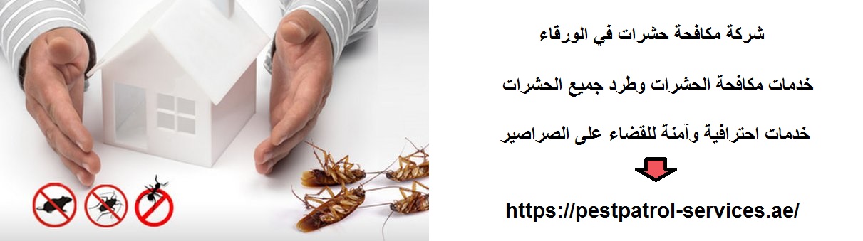 شركة مكافحة حشرات في الورقاء