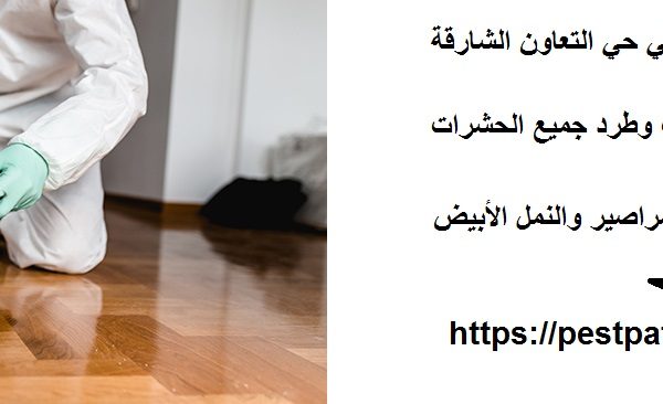 شركة مكافحة حشرات في حي التعاون الشارقة