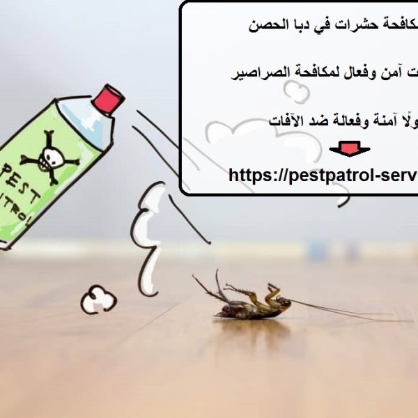 شركة مكافحة حشرات في دبا الحصن