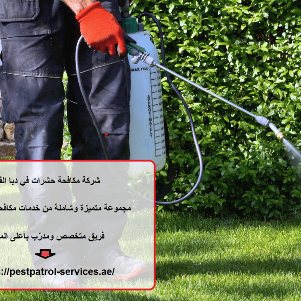 شركة مكافحة حشرات في دبا الفجيرة