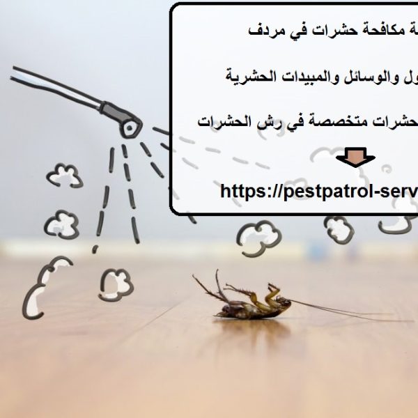 شركة مكافحة حشرات في مردف
