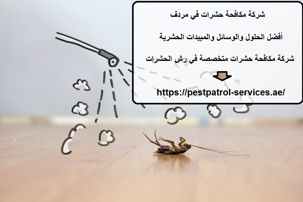 شركة مكافحة حشرات في مردف
